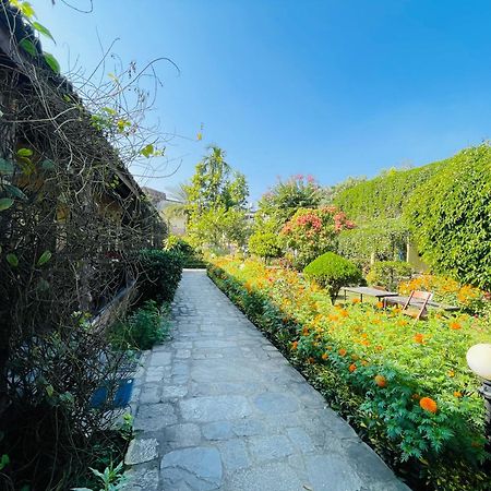 Travellers Jungle Camp-Sauraha酒店 外观 照片